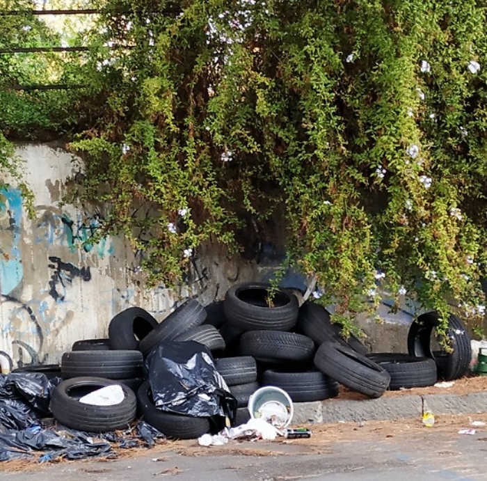 161858249-7f3b4c6a-f724-47d6-86e6-4d4f1f8c5325