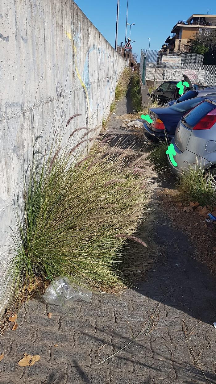 183209100-e199b68d-49c4-4bd1-8018-3501d91270a5