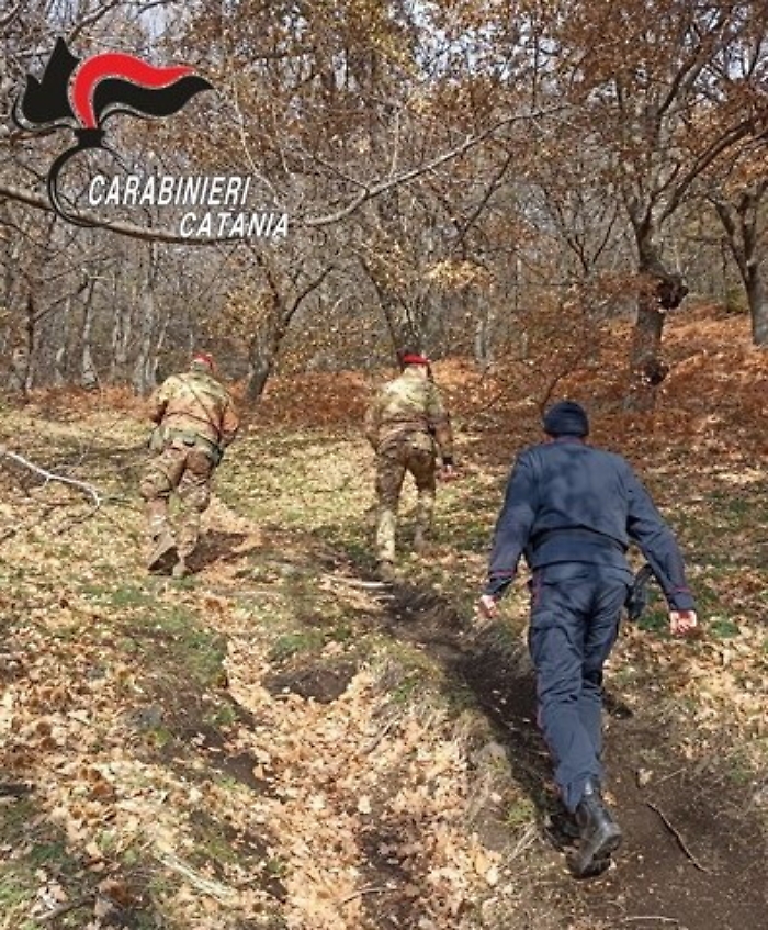 101209026-0d812c34-8d57-406f-8546-9893a1d7b3a5