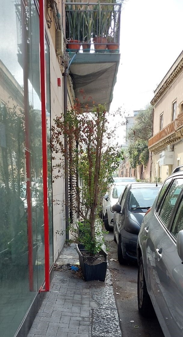 173617363-f437b5fb-90ad-45e8-bdf1-6468825c0de5