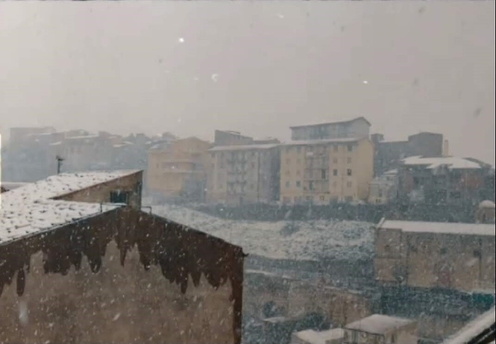 152252187-597d5a12-3050-4a1a-b9a6-6bf361d8281d