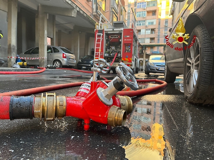 172401049-f131a6a8-9138-4ff2-bfe6-aec93a87fa75