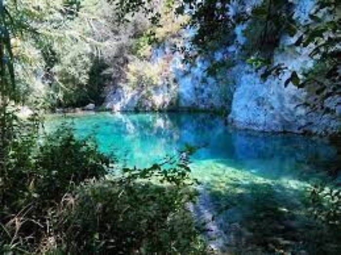 101904869-6c196ed4-2b67-4fbe-8037-a46ec9aadc9c