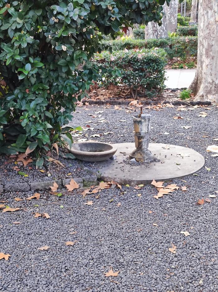 161444790-f41b179e-f4ec-4294-8a38-a3a49fa3869a