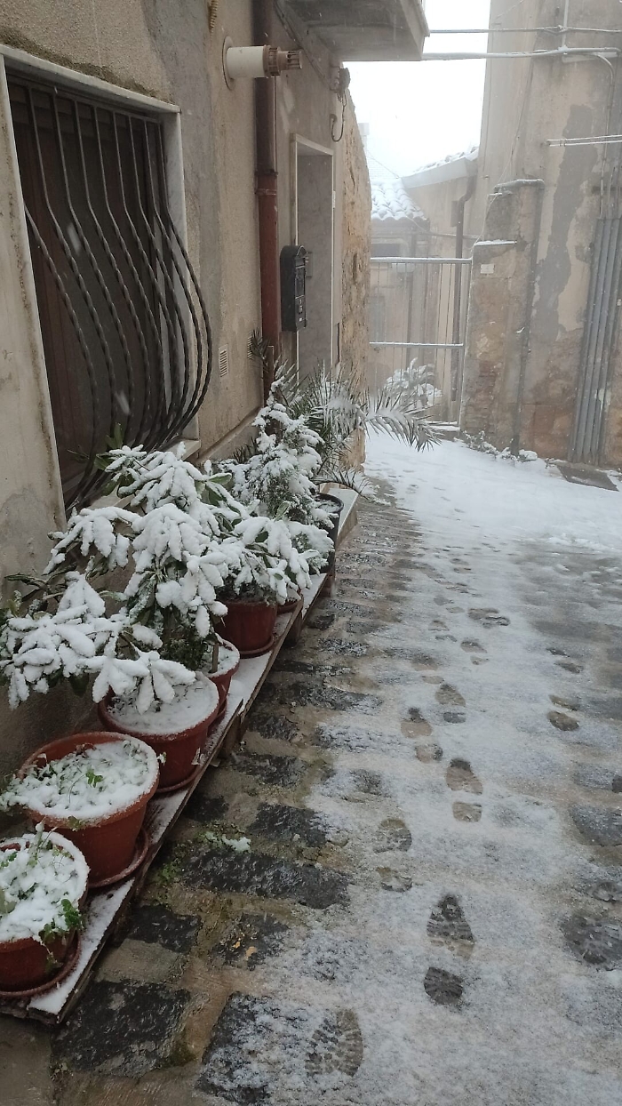 145129693-4e3d1a60-6e50-4946-a888-7f492432098a