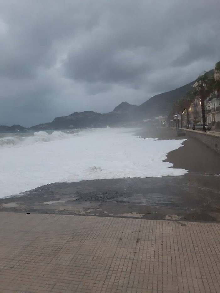 111818493-4203bbe8-6faa-4d24-b12d-06405d6d348c