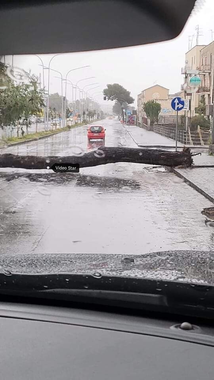 114540467-95914079-6c7d-44c9-9f06-b2fe288a4dd8