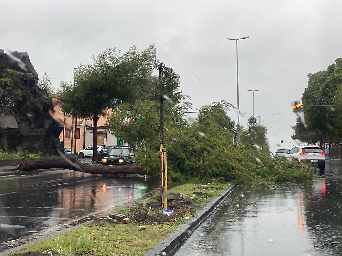 114542991-1a84de5f-ee1a-4051-bd10-3fc4f23283e9