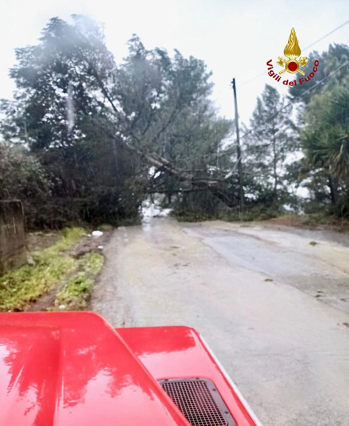 173753309-8006a8f3-c93c-443b-acd6-110428ce56ee