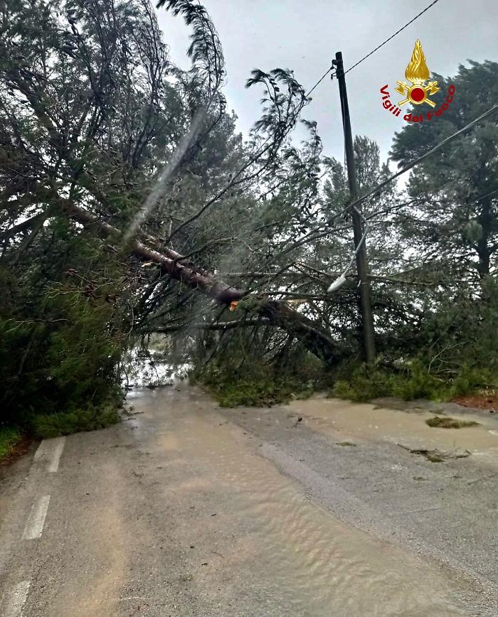 173824096-e8b9e8b3-9ff0-4511-944d-31567aa8d4cd