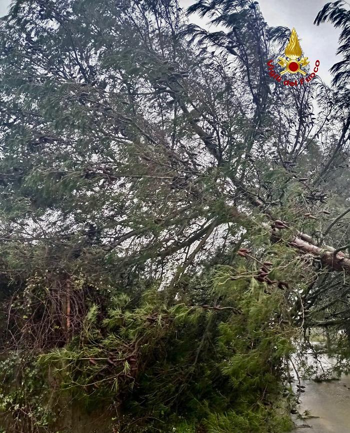 173824301-bac6a1ba-4df9-4570-81f8-391a2f95b6cc