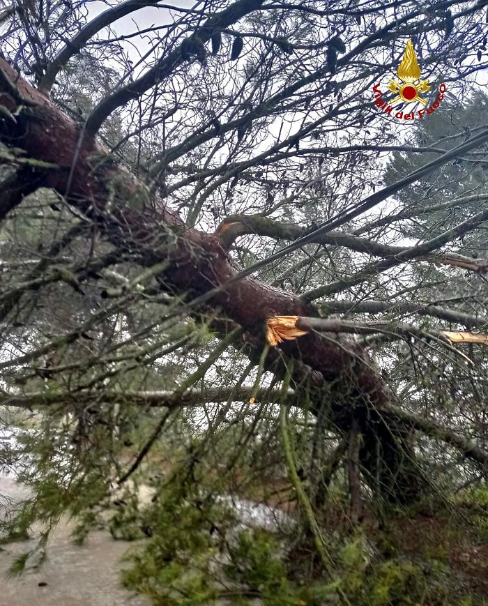 173825266-e1da1b34-71e9-4cd6-8652-10073433211a