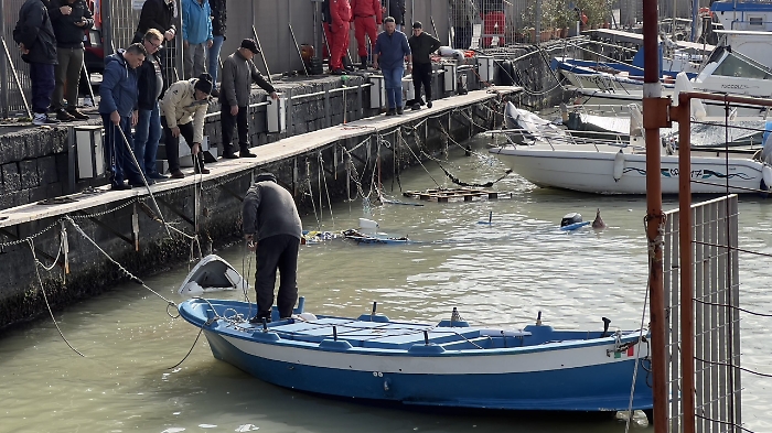 101904776-ed0f5faf-0c55-4379-bcc6-c9cf4012c7ac