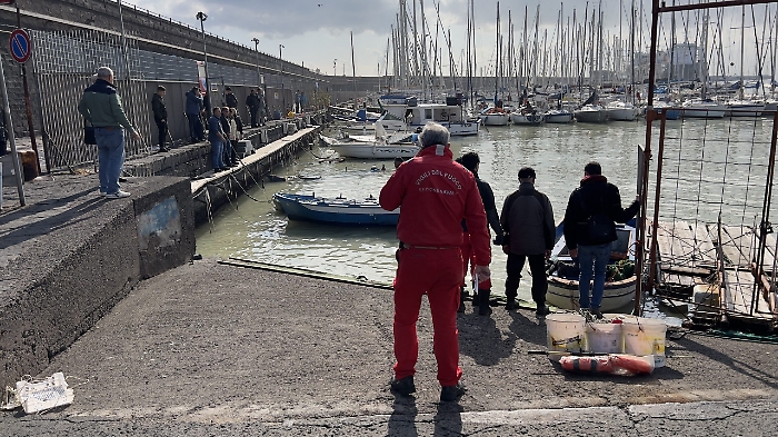 101906190-e640a90f-fd90-4243-a113-c6ee2cbaf87a