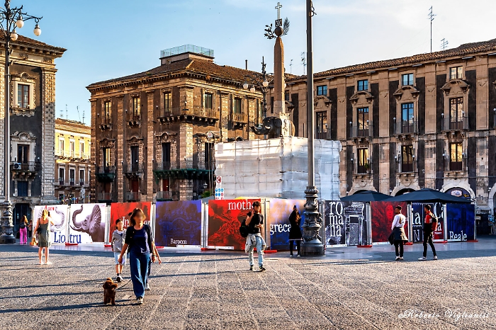 343938651_595255495908783_4796863315626435296_n