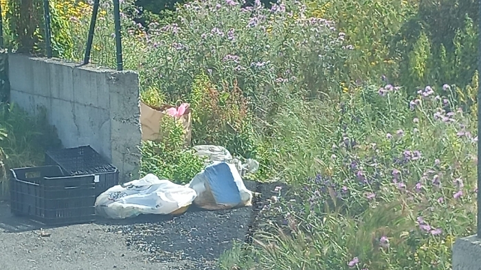 13dba063-cb5d-4fad-beb7-158c4da90a17