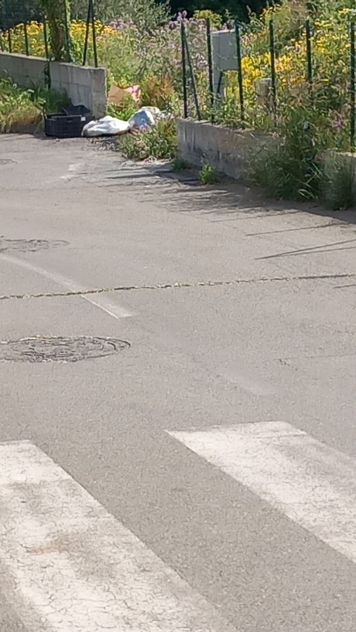 637db592-7929-497d-83f5-0677c2c6e102