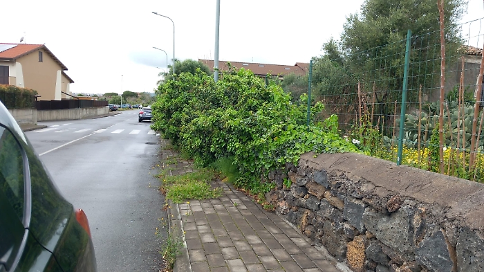 6ab8d8bc-54f9-49c4-913c-ab2af890d88a