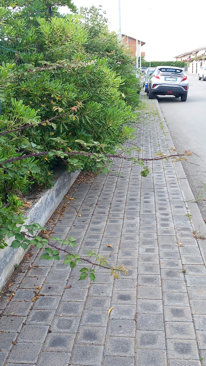 77c3c2c2-f378-47dd-a085-48675b083b5a