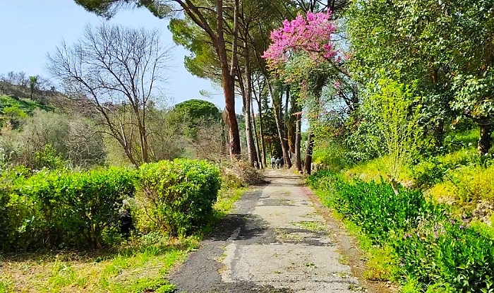 Parco-Archeologico-Leontinoi-2-1