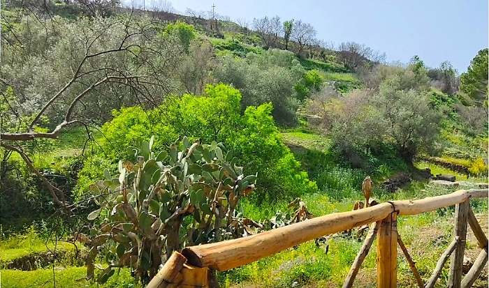 Parco-Archeologico-Leontinoi-3