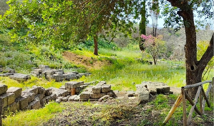 Parco-Archeologico-Leontinoi-4