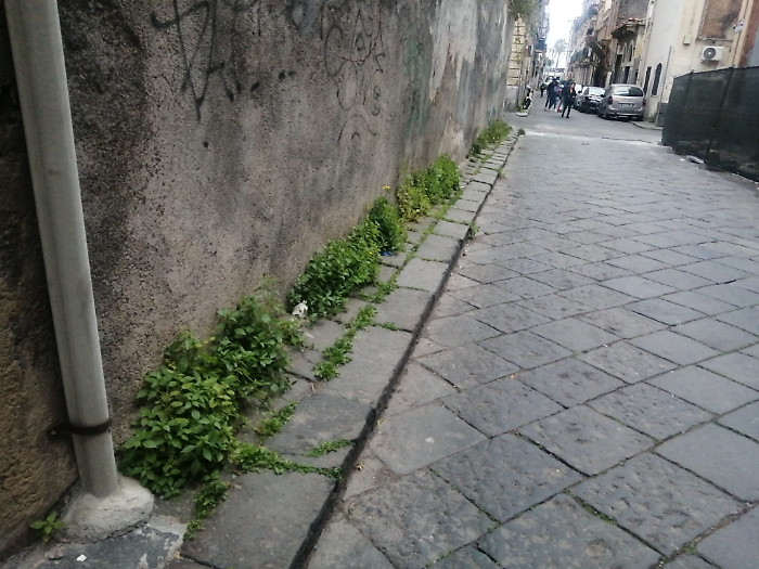 Via-Tezzano-via-platamone-via-di-Stefano-Catania