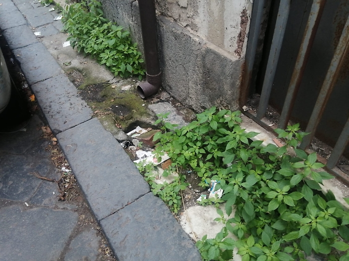 Via-Tezzano-via-platamone-via-di-Stefano-Catania