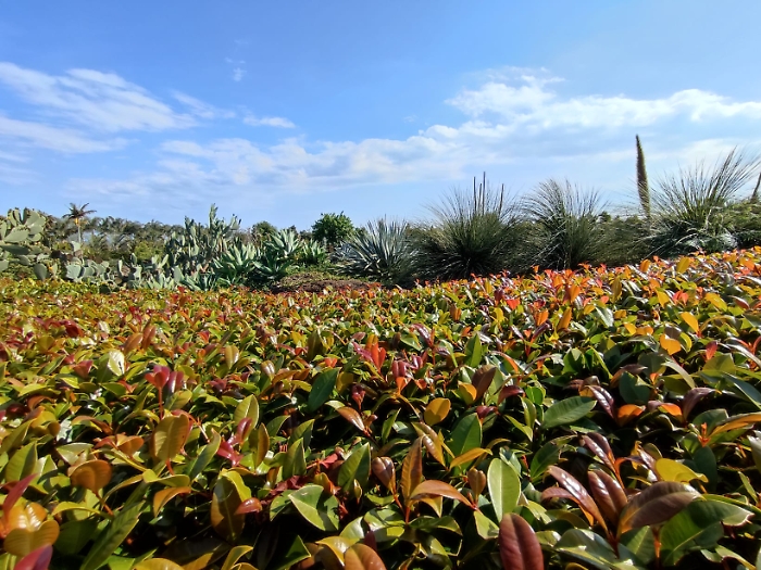 WhatsApp-Image-2023-05-05-at-17.39.51