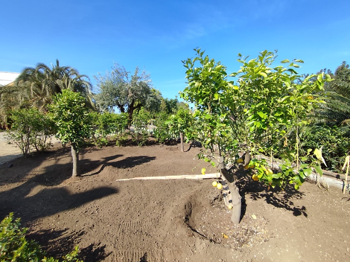 WhatsApp-Image-2023-05-05-at-17.39.52