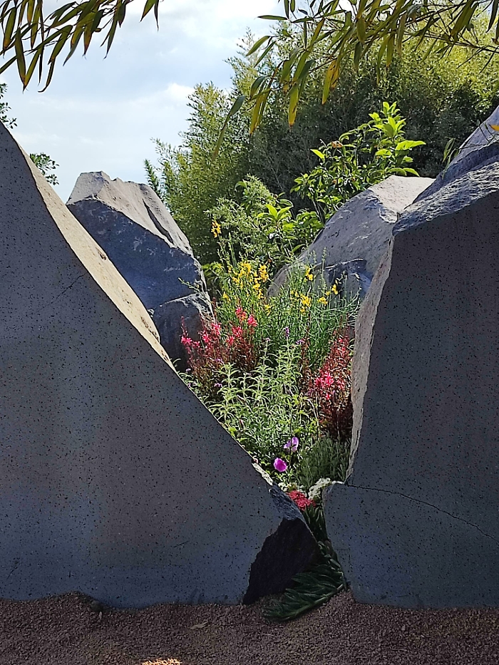 WhatsApp-Image-2023-05-05-at-17.39.53-1