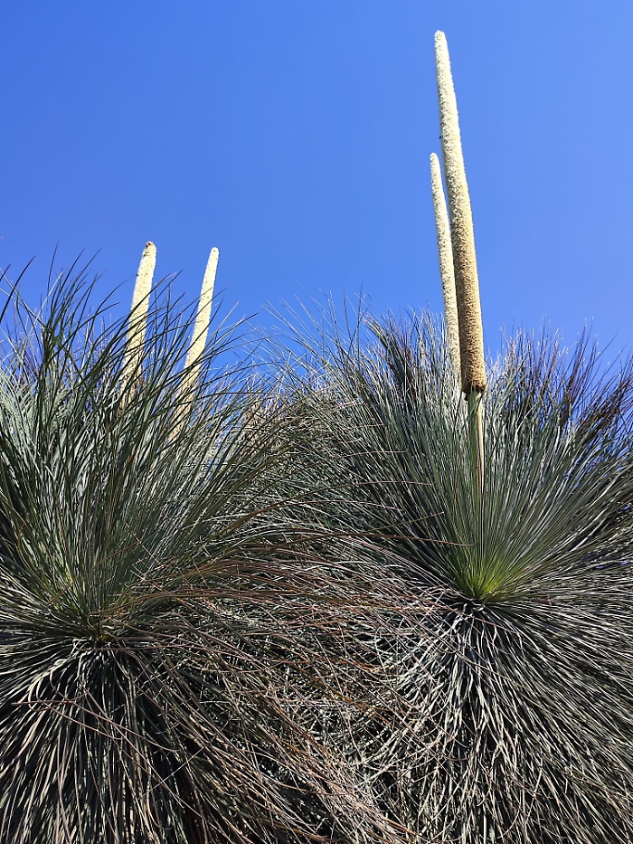 WhatsApp-Image-2023-05-05-at-17.39.54-1