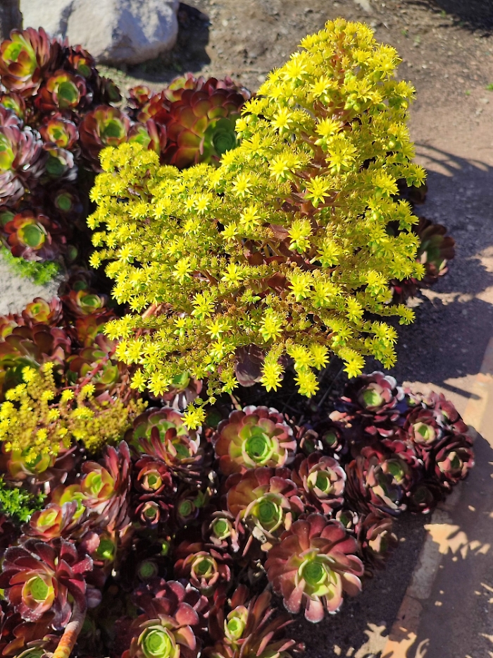 WhatsApp-Image-2023-05-05-at-17.39.54-2