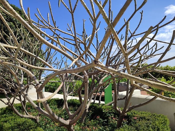 WhatsApp-Image-2023-05-05-at-17.39.55-1