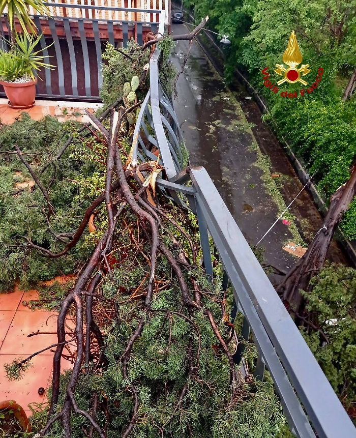 photo_2023-05-20_18-39-06