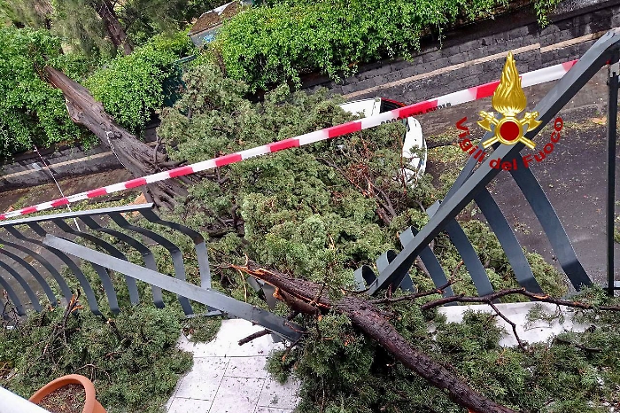 photo_2023-05-20_18-39-08
