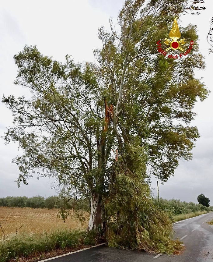 photo_2023-05-20_18-39-09