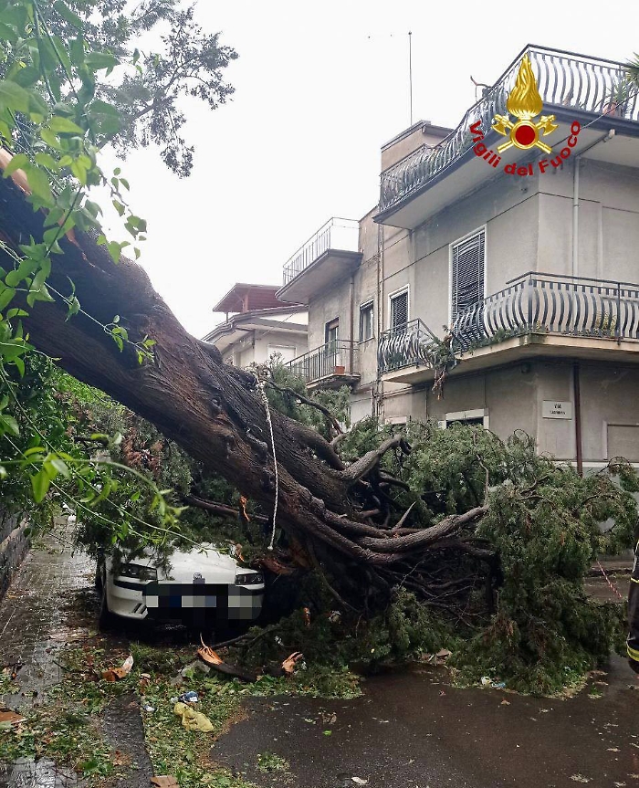 photo_2023-05-20_18-41-43-2