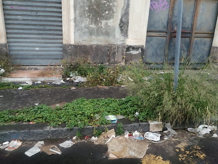 Catania via archimede erbacce