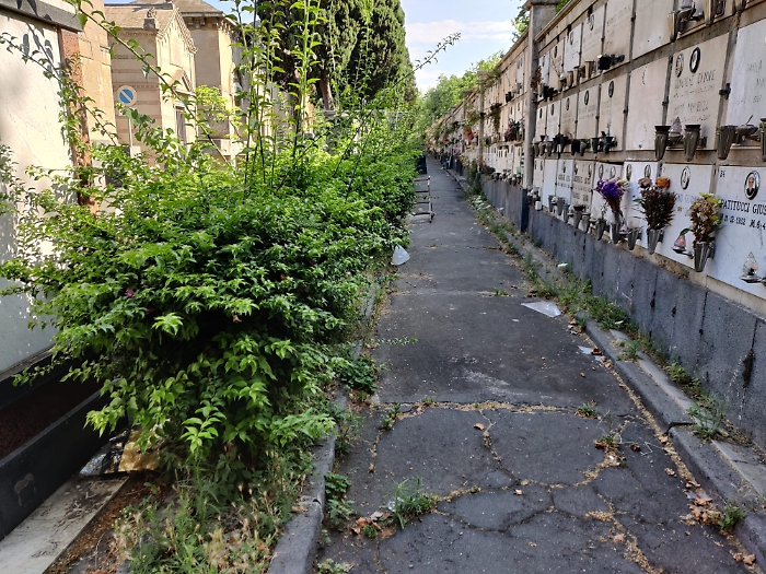 a6c3c876-cbdc-4280-9676-8801adec3ebd