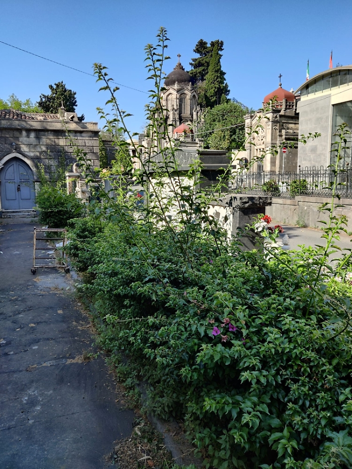 fa976a90-f95f-4e81-8d6e-51f8f209b72d