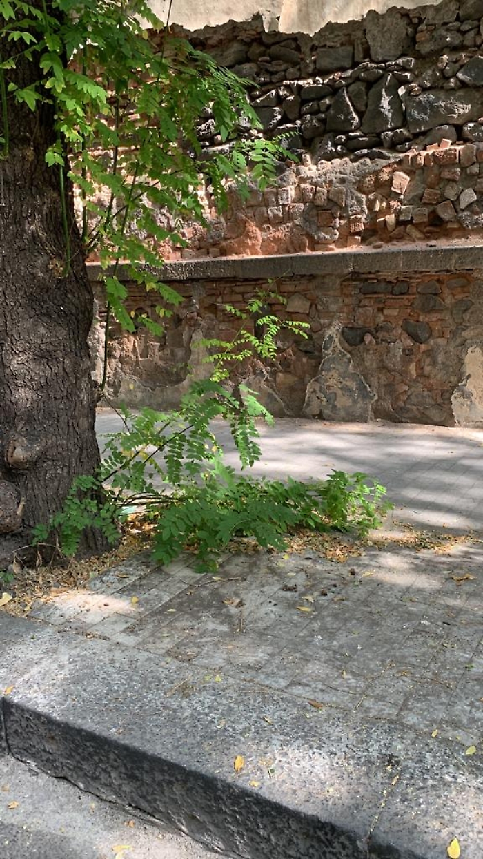 14cdf3f2-3681-45db-9496-25ac1ecaa885