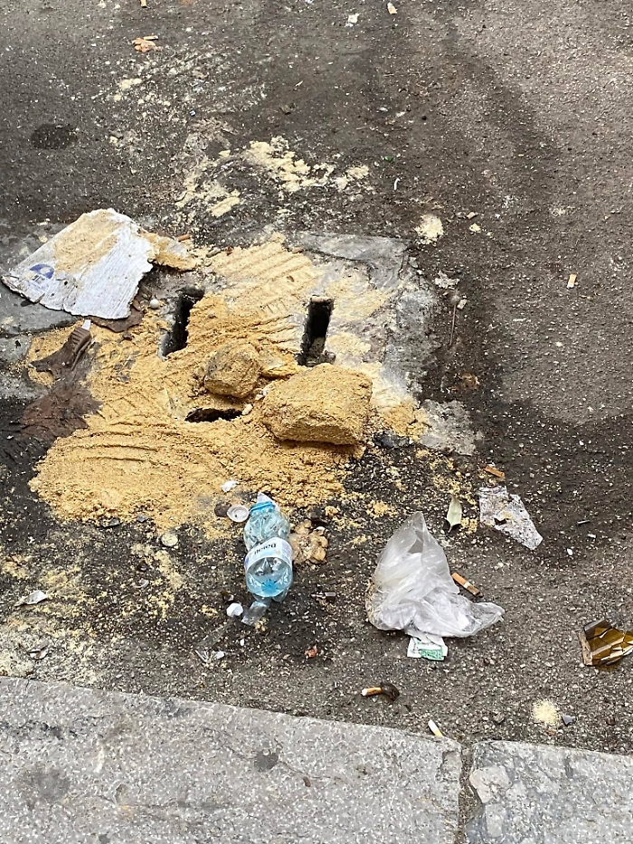 356811232_194219183377187_5068162911481094102_n