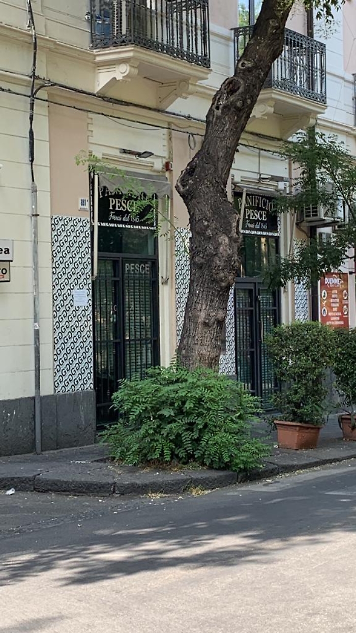 912c0f70-e66f-4f66-ac73-6ea914e4237e