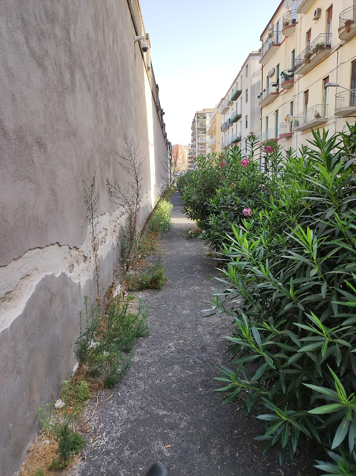 Queste-le-condizioni-di-piazza-Lanza-e-di-via-Gigi-Macchi-perimetro-del-carcere.2