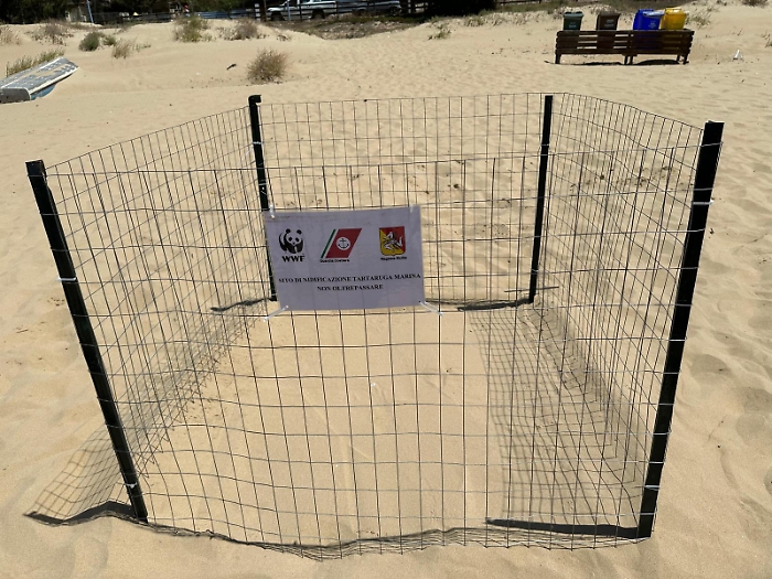 WhatsApp-Image-2023-07-27-at-13.29.41-1