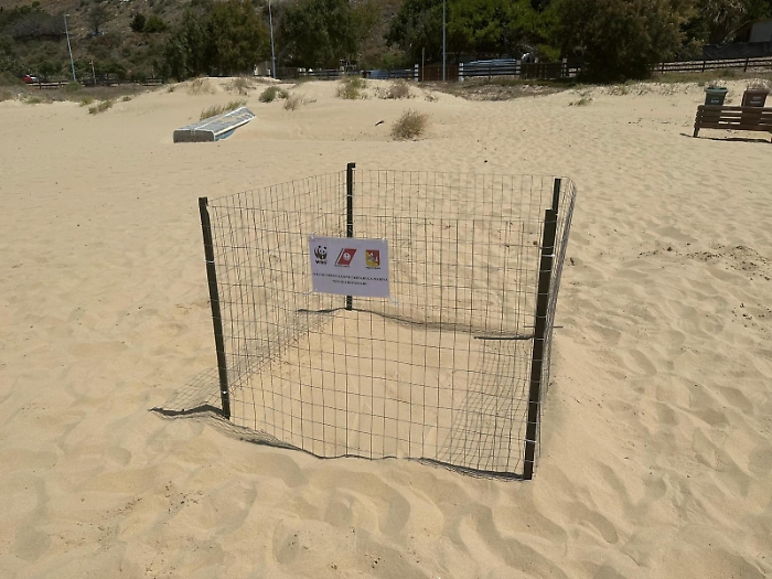 WhatsApp-Image-2023-07-27-at-13.29.42-1