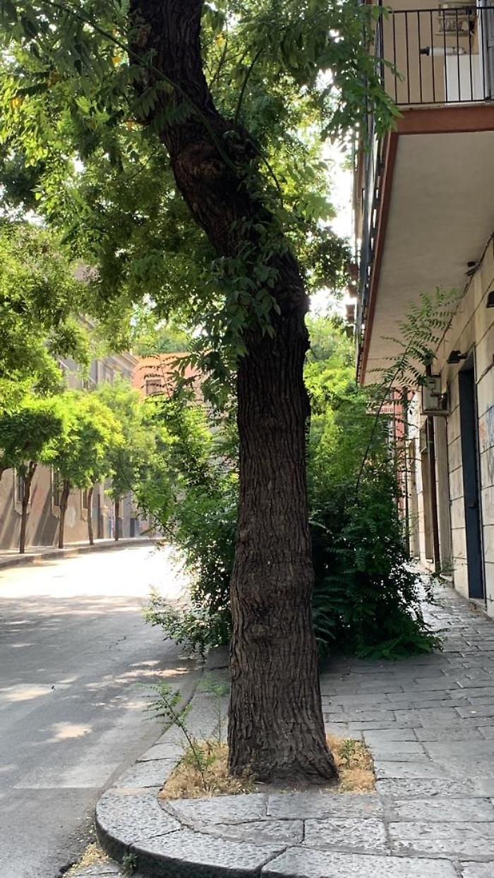 cbb93a72-c63e-4cea-98cc-b4e3fc3c5588