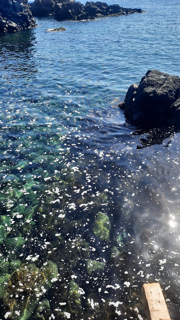 Stazzo mare inquinato