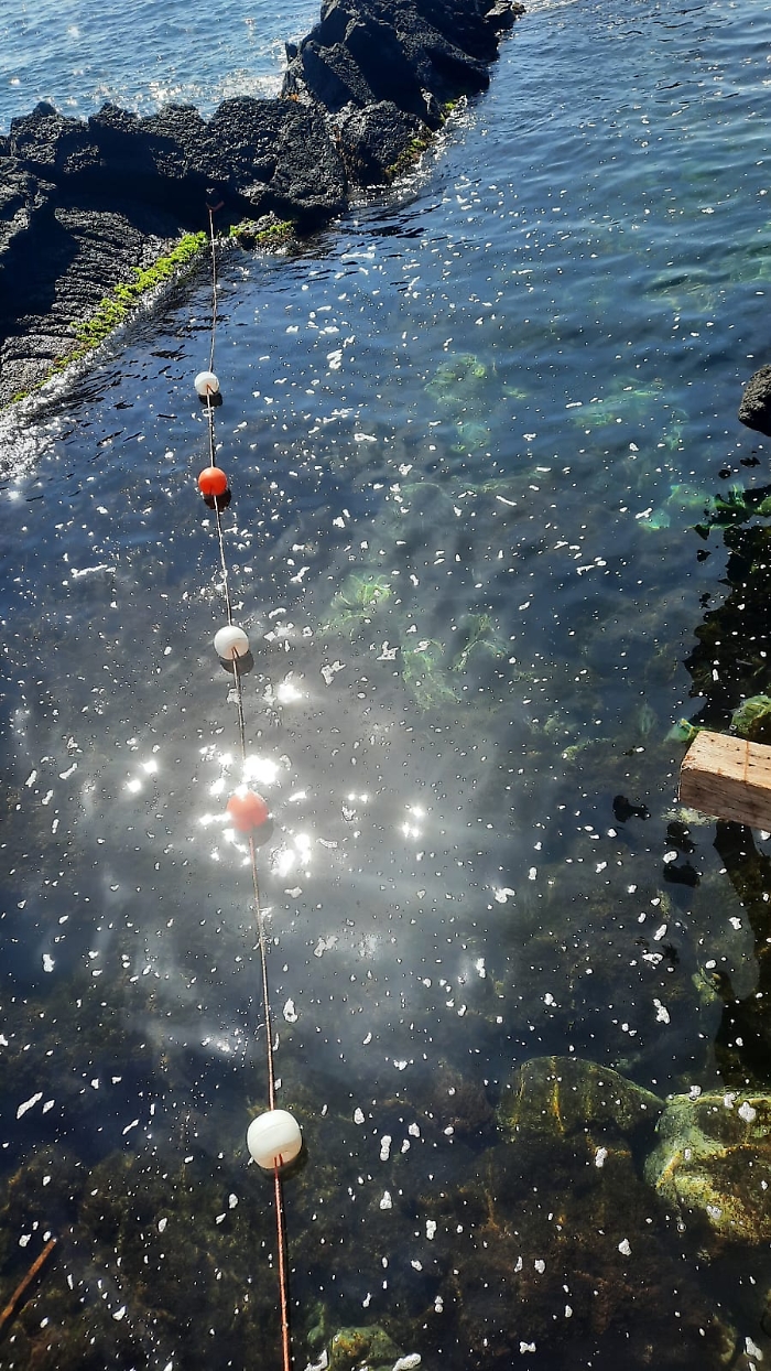 Stazzo mare inquinato